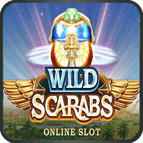 WILD SCARABS